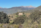 Rural estate for sale in Casabermeja ref: TR284753 photo