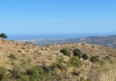 Finca rústica en venda a Vélez-Málaga ref.: TR233420 foto