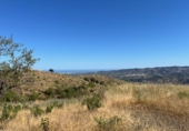 Finca rústica en venda a Vélez-Málaga ref.: TR233420 foto