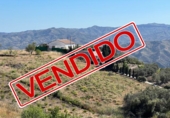 Finca rústica en venda a Vélez-Málaga ref.: TR233420 foto