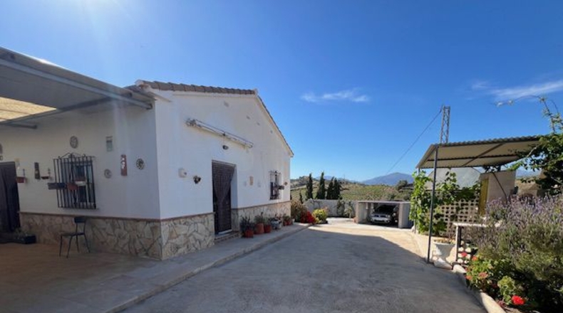 Málaga - Vélez-Málaga - 3500m2
