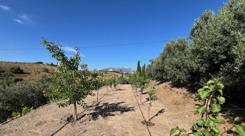 Málaga - Vélez-Málaga - 3500m2