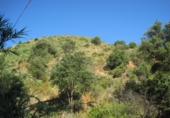 Terreno no urbanizable en venta en Campo-Mijas ref: TR33956 foto