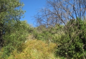 Terreno no urbanizable en venta en Campo-Mijas ref: TR33956 foto