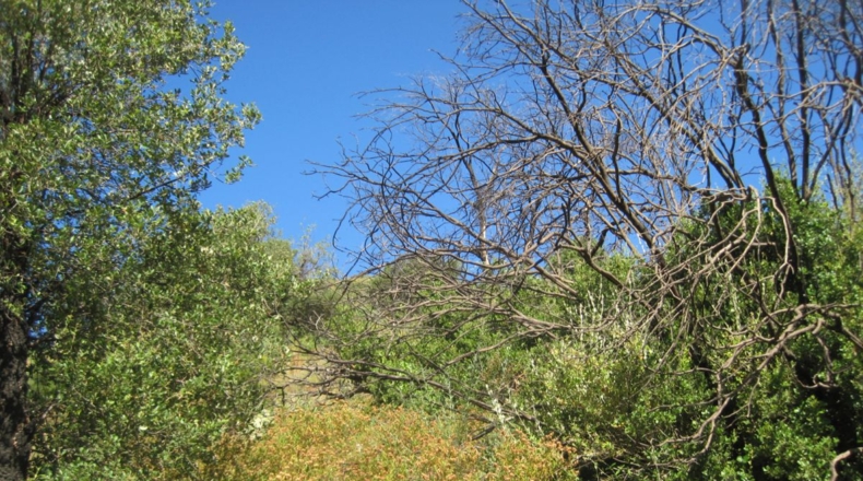 Málaga - Mijas - 59380m2