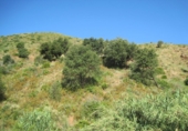Terreno no urbanizable en venta en Campo-Mijas ref: TR33956 foto