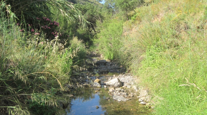 Málaga - Mijas - 59380m2