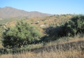 Terreny no urbanitzable en venda a Campo-Mijas ref.: TR32696 foto
