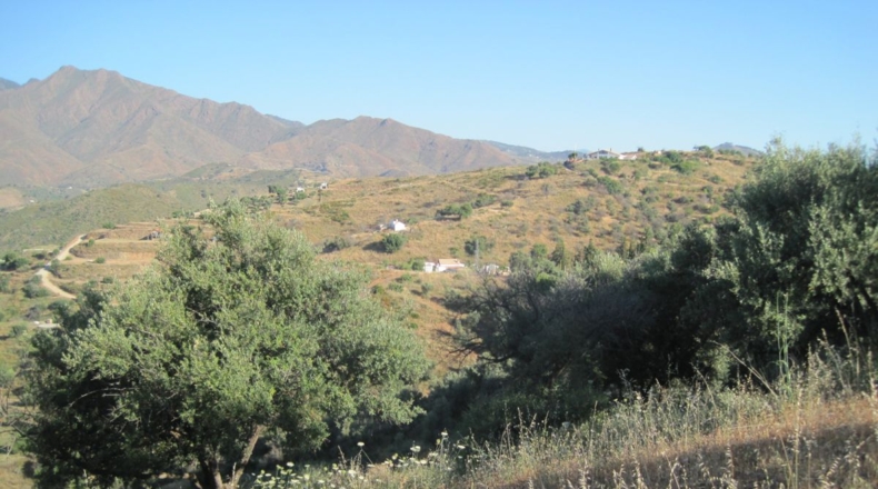 Málaga - Mijas - 20683m2