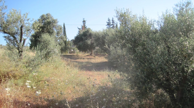 Málaga - Mijas - 20683m2