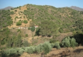 Terreny no urbanitzable en venda a Campo-Mijas ref.: TR110135 foto