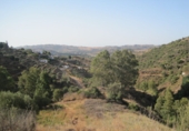 Terreny no urbanitzable en venda a Campo-Mijas ref.: TR110135 foto