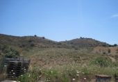 Terreny no urbanitzable en venda a Campo-Mijas ref.: TR32695 foto