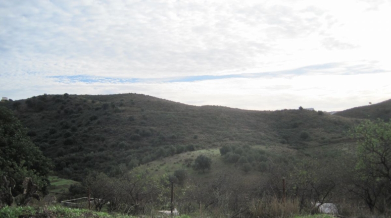 Málaga - Mijas - 10545m2