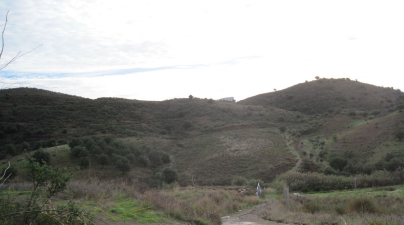 Málaga - Mijas - 10545m2