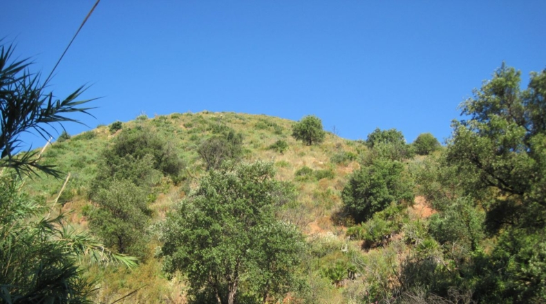 Málaga - Mijas - 59380m2