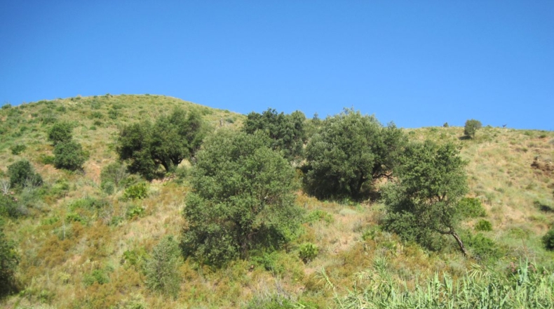 Málaga - Mijas - 59380m2