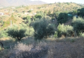 Terreny no urbanitzable en lloguer a Campo-Mijas ref.: TR284747 foto