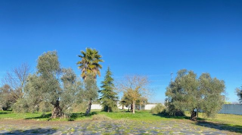 Badajoz - Badajoz - 10000m2