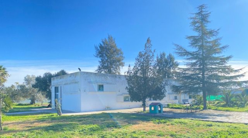 Badajoz - Badajoz - 10000m2