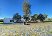 Detached villa with land for sale on España, Badajoz, ref: TR375738 photo