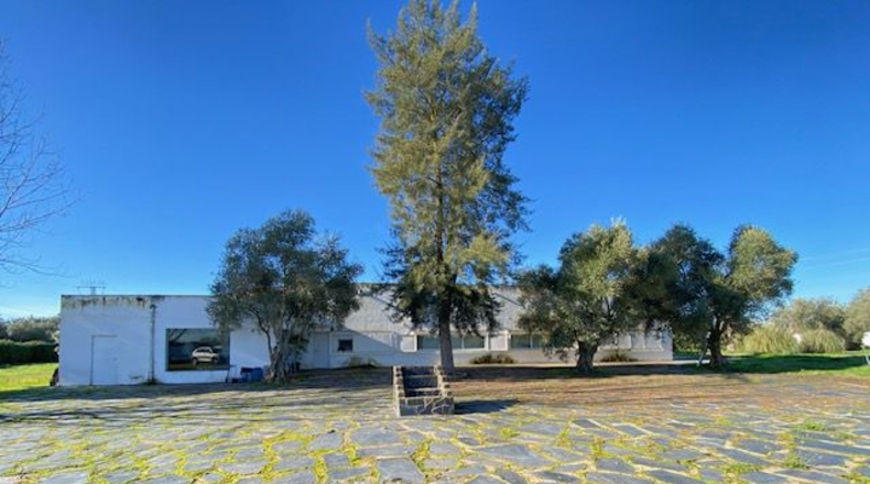 Badajoz - Badajoz - 10000m2