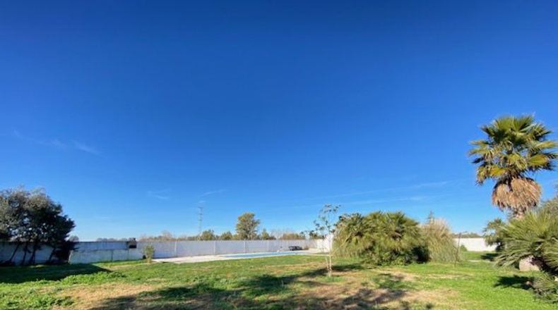 Badajoz - Badajoz - 10000m2