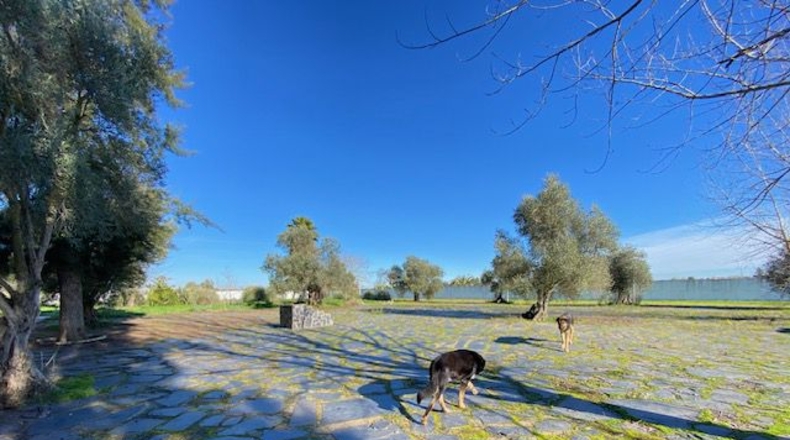 Badajoz - Badajoz - 10000m2