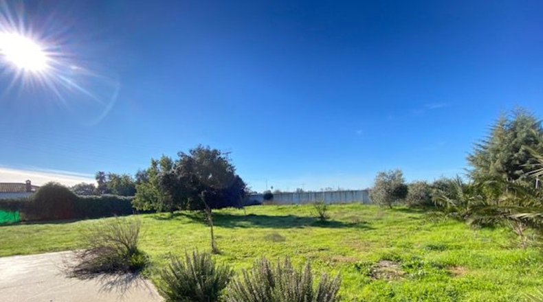 Badajoz - Badajoz - 10000m2