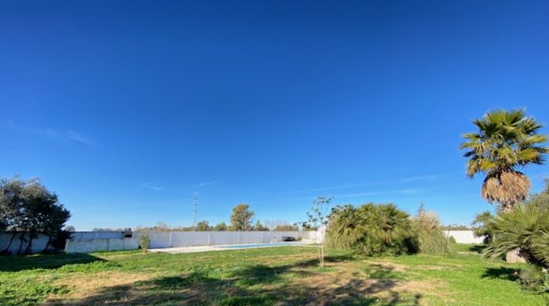 Badajoz - Badajoz - 10000m2