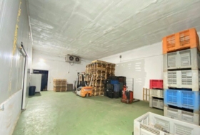 Бадахос 450&nbsp;м²