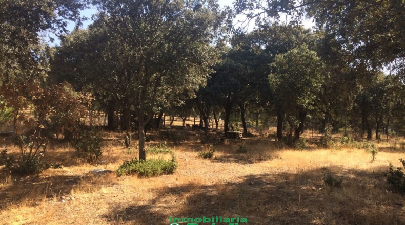 Salamanca - Ciudad Rodrigo - 2000m2