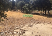 Non-developable land for sale on España, Ciudad Rodrigo, ref: TR33955 photo