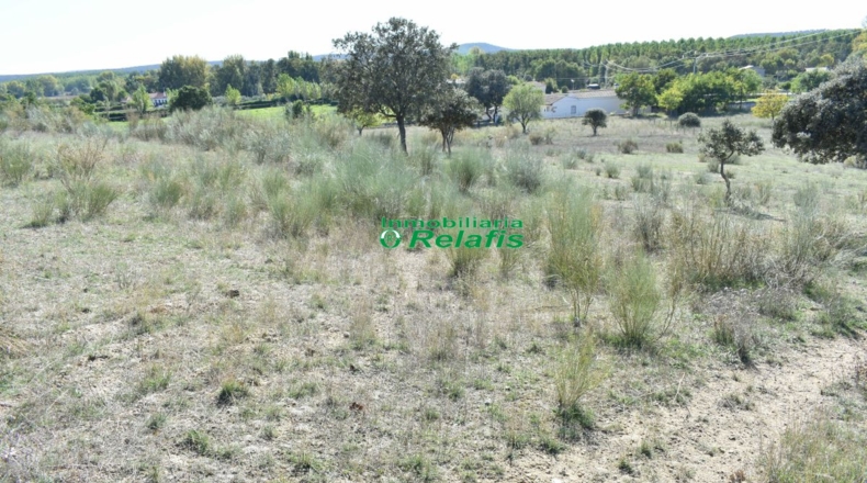 Salamanca - Bocacara - 15500m2