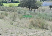 Terreny no urbanitzable en venda a la España, Ciudad Rodrigo, ref.: TR33954 foto