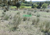 Terreny no urbanitzable en venda a la España, Ciudad Rodrigo, ref.: TR33954 foto