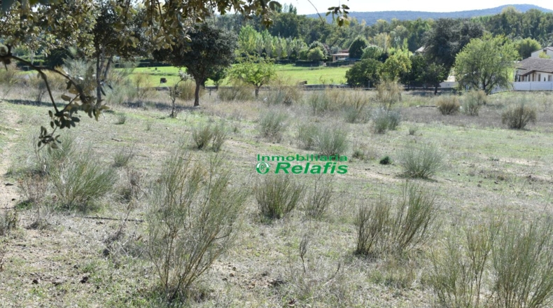 Salamanca - Bocacara - 15500m2