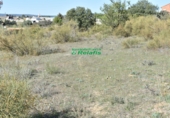 Terreny no urbanitzable en venda a la España, Ciudad Rodrigo, ref.: TR33954 foto
