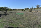 Terreny no urbanitzable en venda a la España, Ciudad Rodrigo, ref.: TR33954 foto