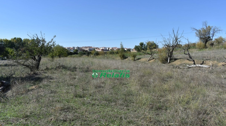 Salamanca - Bocacara - 15500m2