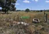 Finca rústica en venta en la España, Ciudad Rodrigo, ref: TR33953 foto