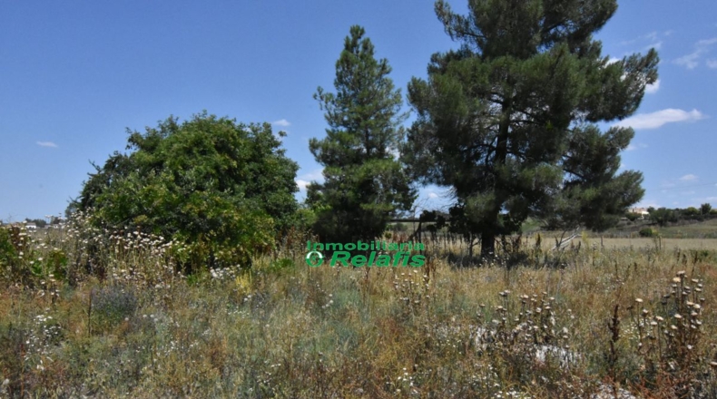 Salamanca - Ciudad Rodrigo - 2590m2