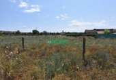 Finca rústica en venta en la España, Ciudad Rodrigo, ref: TR33953 foto