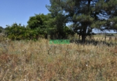 Finca rústica en venta en la España, Ciudad Rodrigo, ref: TR33953 foto