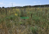 Finca rústica en venta en la España, Ciudad Rodrigo, ref: TR33953 foto