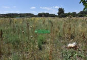 Finca rústica en venta en la España, Ciudad Rodrigo, ref: TR33953 foto
