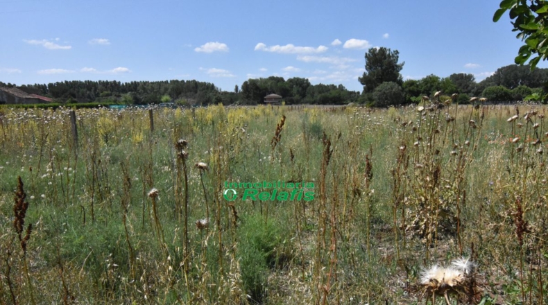 Salamanca - Ciudad Rodrigo - 2590m2