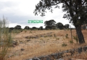 Finca rústica en venda a Ciudad Rodrigo ref.: TR188043 foto