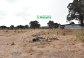 Finca rústica en venda a Ciudad Rodrigo ref.: TR188043 foto