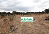Finca rústica en venda a Ciudad Rodrigo ref.: TR188043 foto